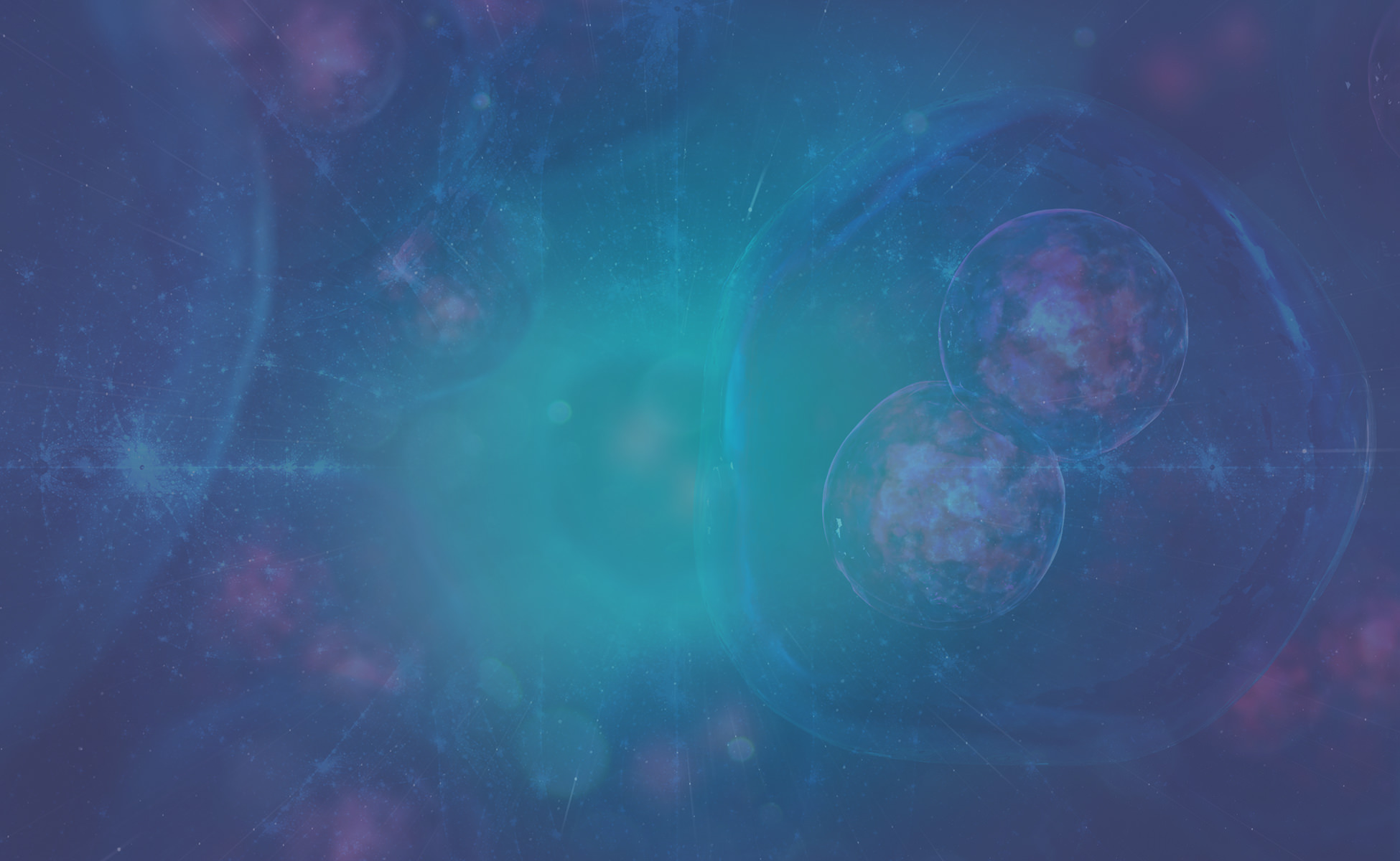 Cell Division 1